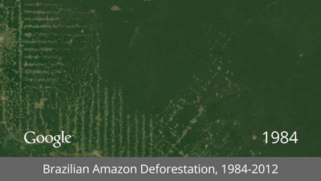 Amazonas