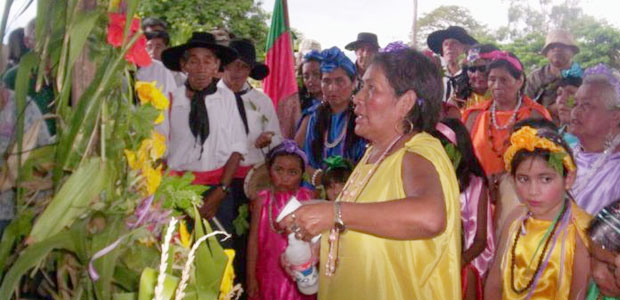 guarani-arete guazu