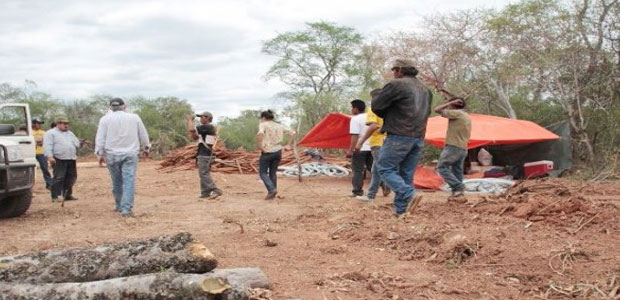 deforestacion-paraguay