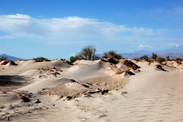 LAS DUNAS LO MÁS COMPLICADO PARA LOS PILOTOS LAS DUNAS LO MÁS COMPLICADO PARA LOS PILOTOS