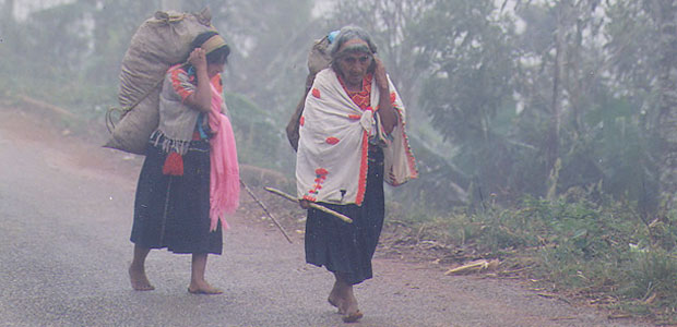 mujeres-indigenas-mexico