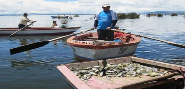 pesca-lago titicaca 