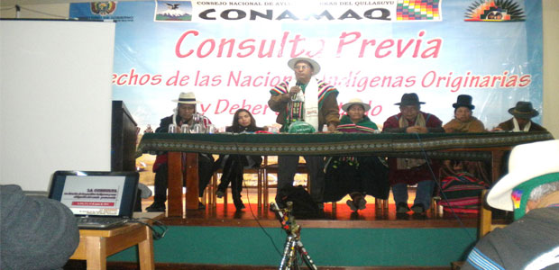 socializacion-proyecto ley consulta