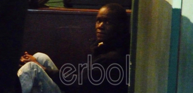 Erbol