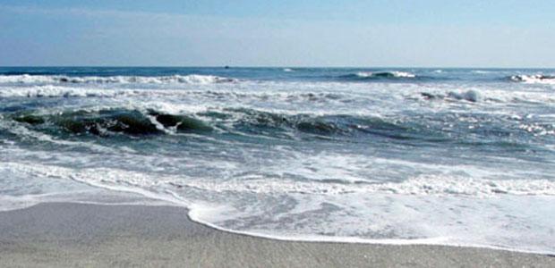 jornada mar-olas