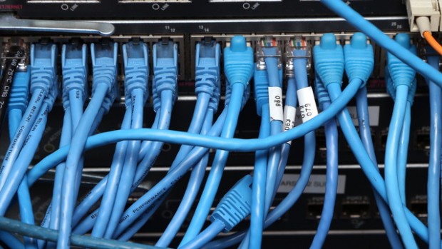 Cables de red conectados a un servidor